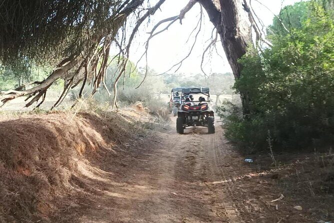 Albufeira 1.5 hour Off-Road Tour Buggy Adventure Tour - The guides you’ll remember: energy, organization, and names to look for