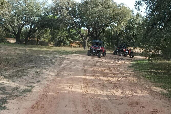 Albufeira 1.5 hour Off-Road Tour Buggy Adventure Tour - Price and value: what $59.74 really buys in 90 minutes