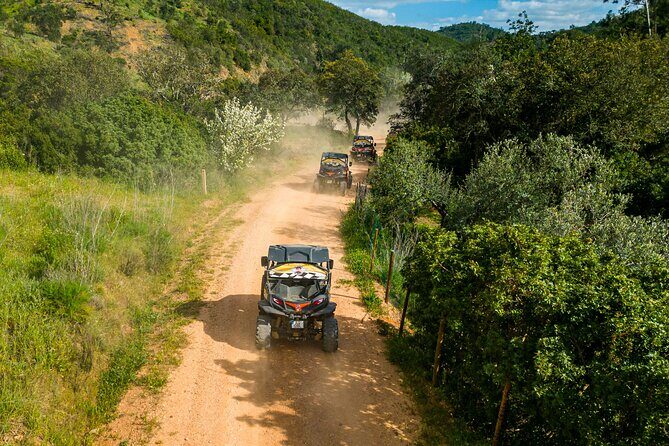 Albufeira: 1.5h Off-Road Buggy Tour - Dirt & Scenic Trails - Driving Rules: The Full License Requirement (Read This Part Carefully)