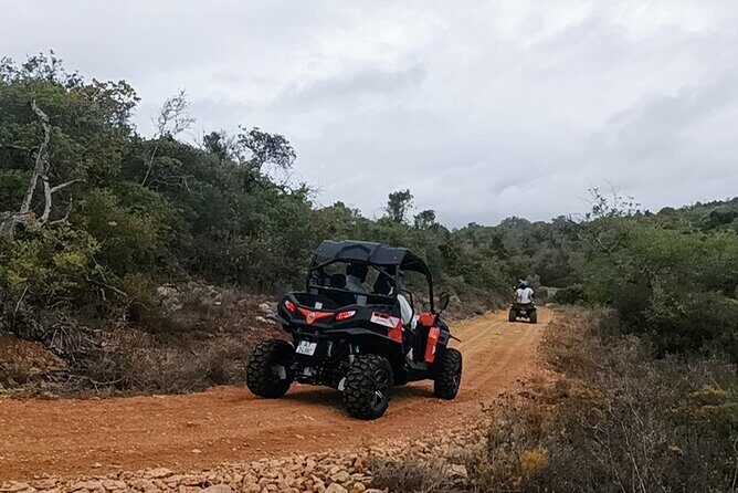 Albufeira 1 hour Off-Road Tour Buggy Adventure Tour - A Buggy Hour in Albufeira: The Real-World Pitch