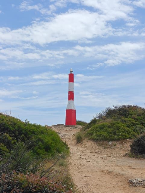Albufeira: Albufeira Marina & west coast Tour 1.5h - FAQ