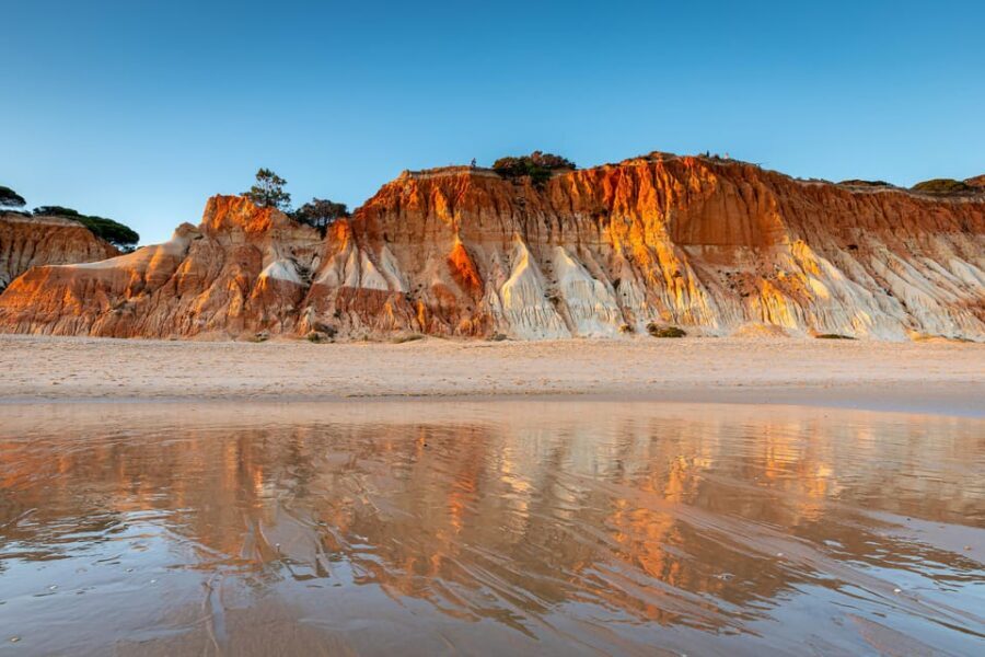 Albufeira: Beach, Old Town & Falesia Electric Tuk Tuk Tour - Arrive back near the pickup point—and take the day with you