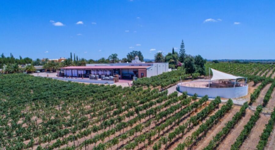 Albufeira Coast Tour, Winery & Chicken lunch - Guia lunch: BBQ piri piri chicken with Portuguese comfort