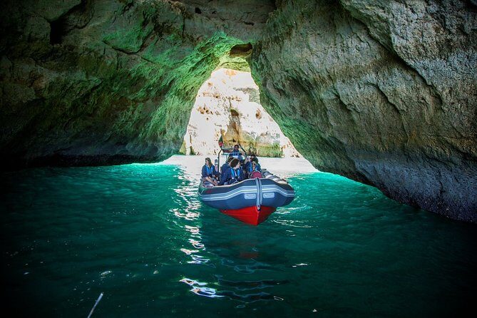 Albufeira: Dolphins and Caves Private Tour - Dolphins With a Marine Biologist: How to Make the Most of Wildlife Time
