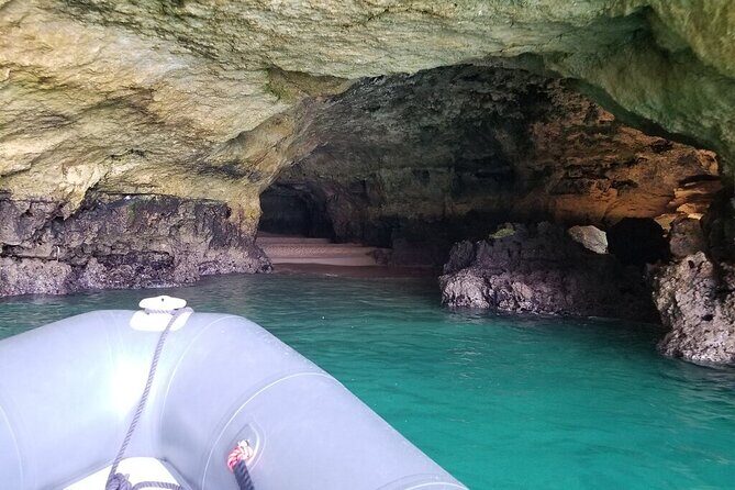 Albufeira: Dolphins and Caves Tour - Price and value: is $36.28 “fair” for this kind of outing?