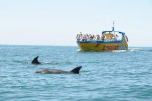 Albufeira Dreamer Boat Trip - The jet boat ride between Albufeira and Carvoeiro