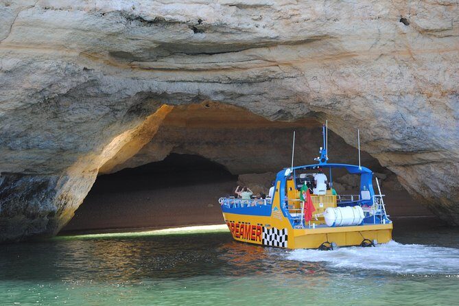 Albufeira Dreamer Boat Trip - Dolphins on the hunt: how to set yourself up for success
