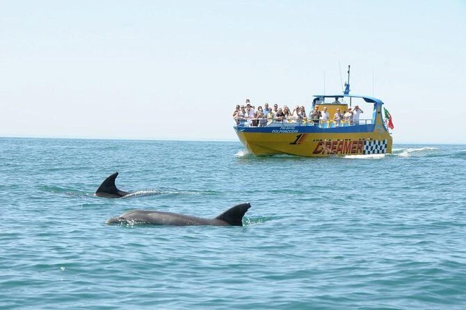 Albufeira Dreamer Boat Trip - The jet boat ride between Albufeira and Carvoeiro