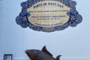 Albufeira History Walking Tour with Wine and Tapas - The Castle of the Sea theme: a good anchor for your photos