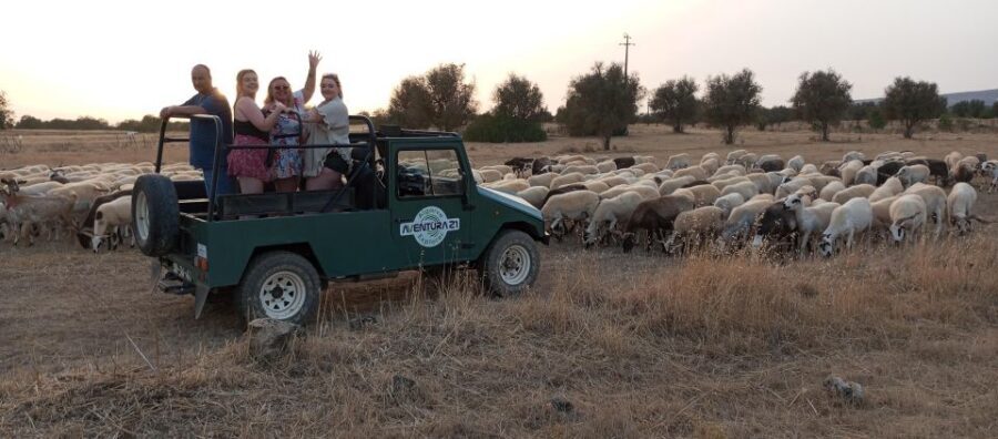 Albufeira: Jeep Safari Half-Day Countryside Tour - Castle of Paderne: Views, Walk Time, and Village-Scale History