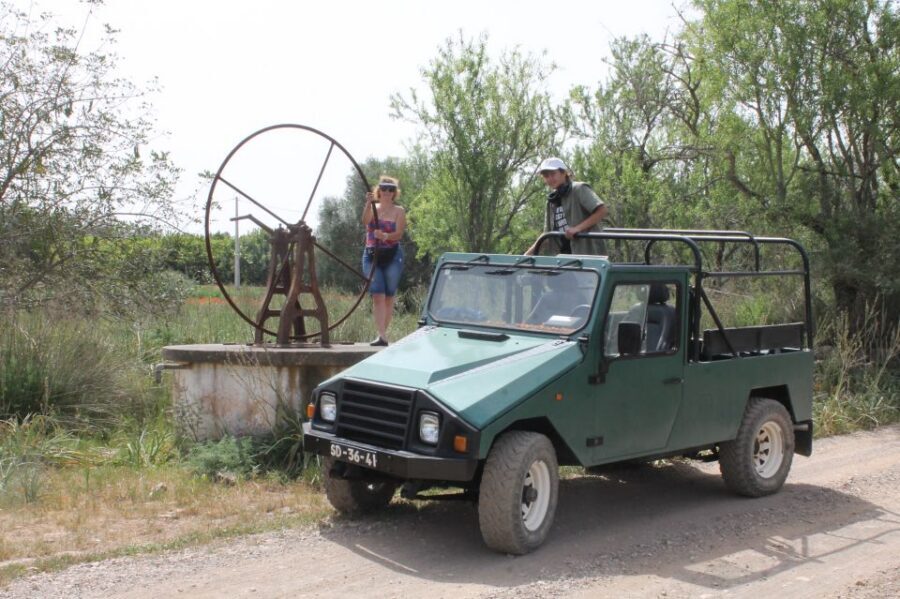 Albufeira: Jeep Safari Half-Day Countryside Tour - Lagoon Bird Watching and Nature Time That Doesn’t Feel Forced