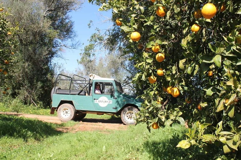 Albufeira Jeep Safari with Zoo - Guide + language: how communication works on the Jeep