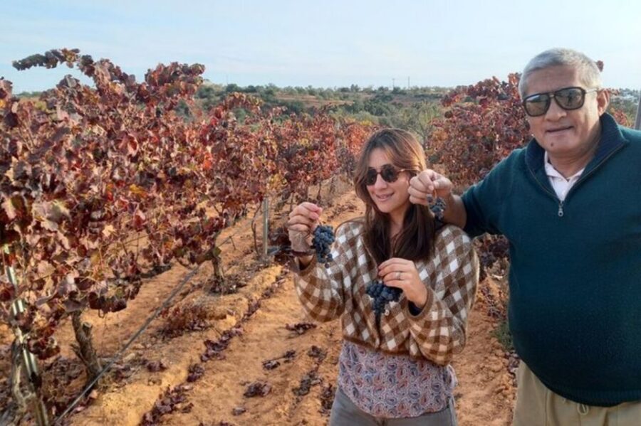 Albufeira/Vilamoura: Winery Tour with Wine Tasting and Tapas - A 3-hour wine-and-tapas loop from Albufeira or Vilamoura