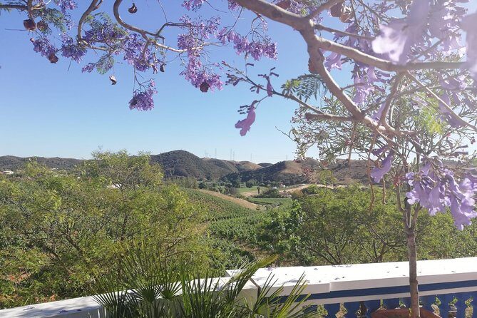 Albufeira Wine Tasting: Boutique Winery Tour & Historic Silves - Silves on your own: Moorish capital, castle area, and river time