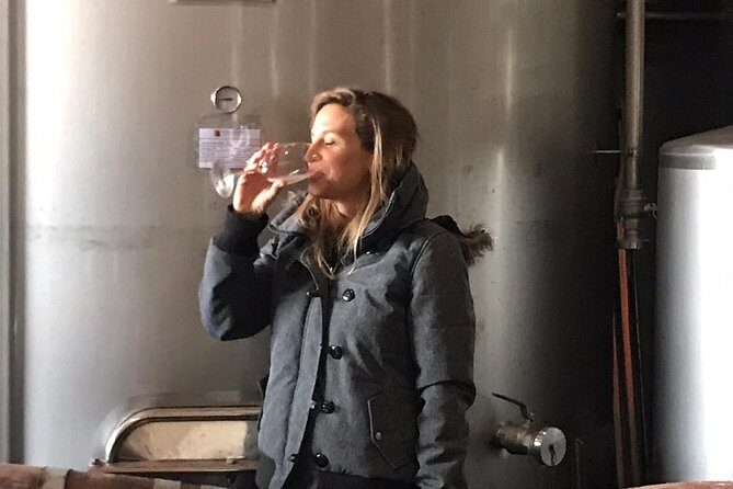 Albufeira Wine Tasting: Boutique Winery Tour & Historic Silves - Price and value: what $78.64 gets you