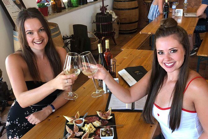 Albufeira Wine Tour: 2 Vineyards, 6 Tastings & Historic Silves - Wine tasting math: how 6 wines fit into a calm, not-chaotic day