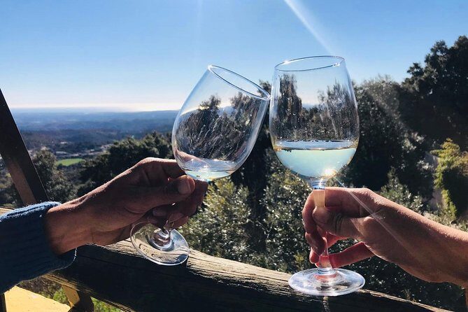 Albufeira Wine Tour: 2 Vineyards, 6 Tastings & Historic Silves - Transportation and timing: what the air-conditioned van does for you