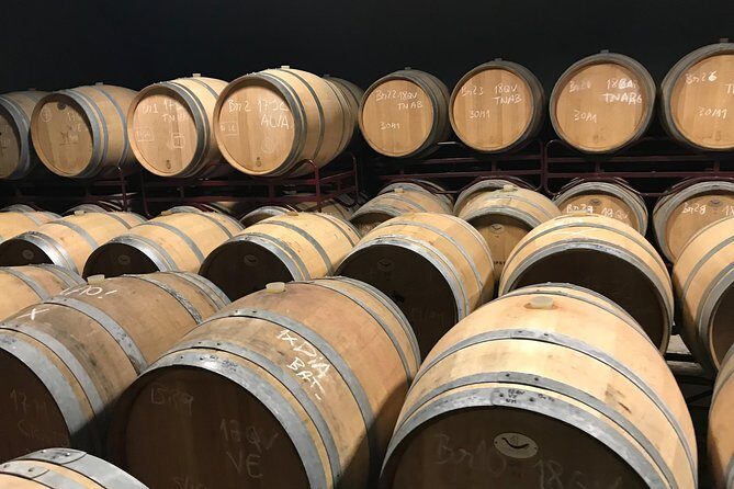 Albufeira Wine Tour: 2 Vineyards, 6 Tastings & Historic Silves - What this day is best for (and who should skip it)
