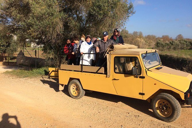 Algarve Jeep Safari - Day Trip - Getting there: Albufeira pickup, meeting point, and timing