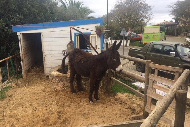 Algarve Jeep Safari - Day Trip - Alte village: the most typical Algarve stop (plus a proper lunch)