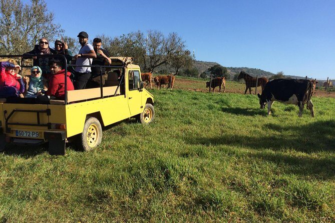 Algarve Mountains & Villages - Half Day Jeep Safari Trip - Key Highlights You’ll Feel From the Start