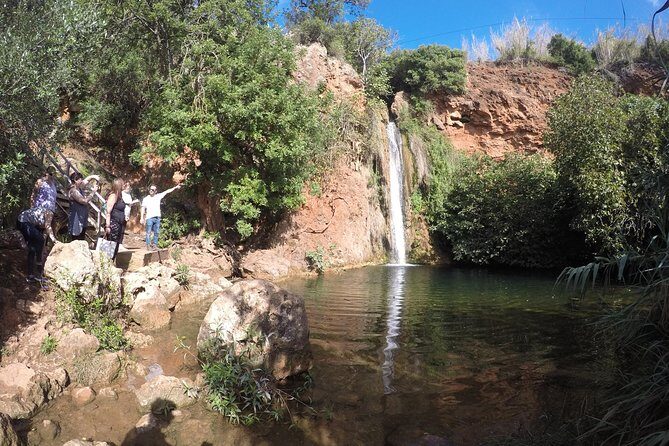 Algarve Safari - Full Day Tour from Albufeira w / lunch - From 9:00 AM to back in Albufeira: how the day is paced