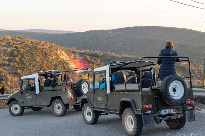 Algarve Safari - Full Day Tour from Albufeira w / lunch - Pickup in Albufeira and the small-group advantage