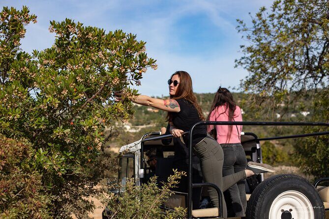 Algarve Safari - Half Day from Albufeira - What You Get for the Money: $48.37 and the Hidden Value
