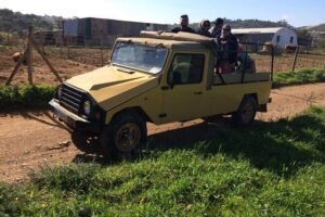 Algarve Sunset Experience - Half Day Jeep Safari Trip - Paderne Goji farm: herbs, animals, and a local spirit tasting