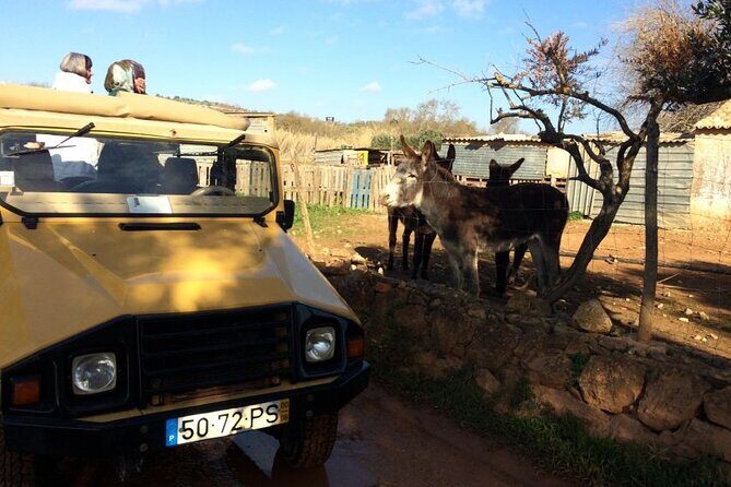 Algarve Sunset Experience - Half Day Jeep Safari Trip - São Bartolomeu de Messines: the highest point and sunset photos