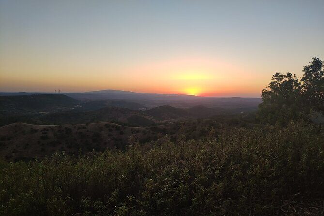 Algarve Sunset Safari Tour from Albufeira - Who This Tour Fits Best (And Who Might Want Another Option)