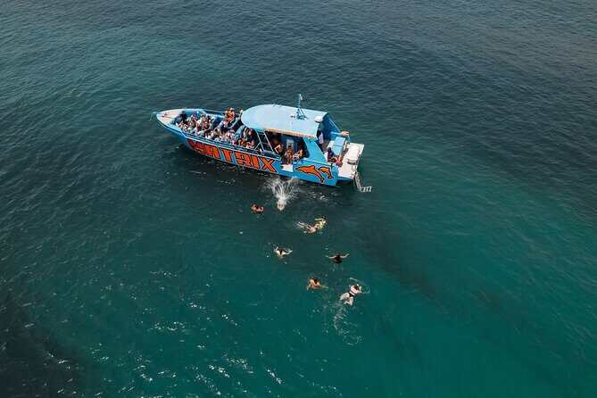 Benagil Caves and Dolphin Watching - 2.5h - The dolphin search: how you’ll spend your time out at sea