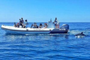 Benagil Caves Visit with Dolphins Watching from Albufeira - Senhora da Rocha and the Albandeira cave area