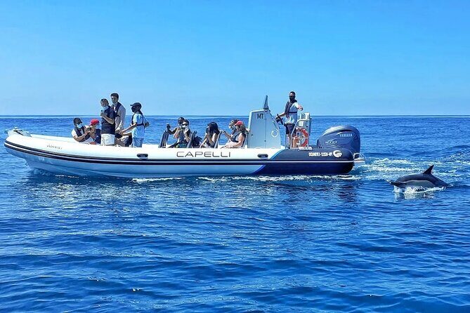 Benagil Caves Visit with Dolphins Watching from Albufeira - Senhora da Rocha and the Albandeira cave area