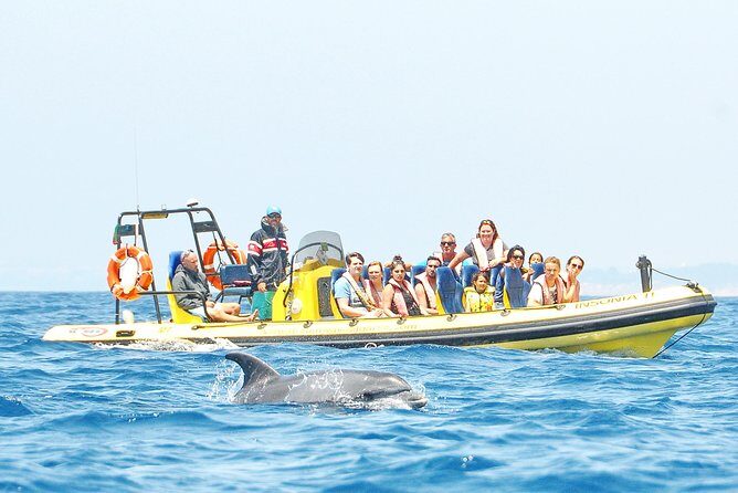 Caves and Dolphin Watching Cruise from Albufeira - Why this 2-hour Algarve combo cruise makes sense
