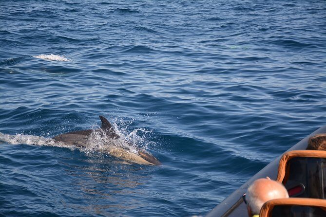Cheapest Family Friendly Boat Trip From Vilamoura Algarve - Choose the Right Sail Time for Comfort