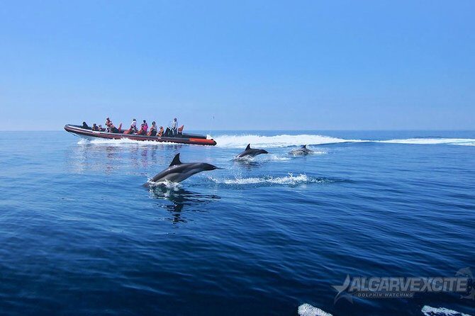 Cheapest Family Friendly Boat Trip From Vilamoura Algarve - Is This Really Family Friendly? Yes, With Smart Planning
