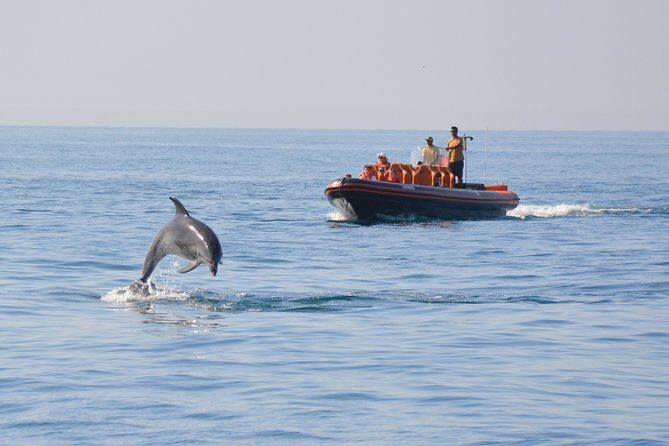Cheapest Family Friendly Boat Trip From Vilamoura Algarve - What to Bring So the Ride Works for Everyone