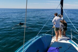 Coastal Tour on a Luxury Sailing Yacht From Vilamoura - Falésia clay formations: the best photo angles happen up close