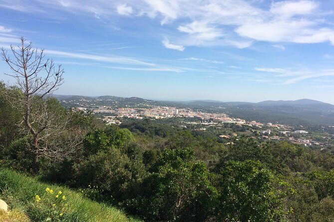 Cork Secrets - Key things to know before you go