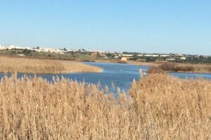 Cork Secrets - Loulé market stop: a real Algarve morning, not a staged stop