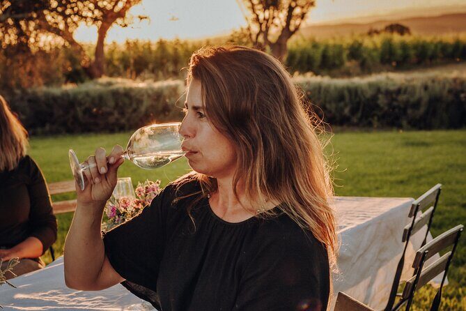 Dinner at the Vineyards in Lagoa - The Algarvian 3-course dinner: hearty, classic, and paced for pairing