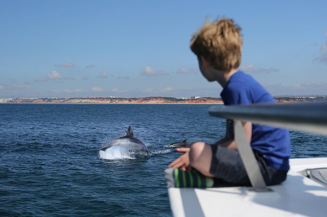 Dolphin Search - Dolphin Quest - Key points to know before you go