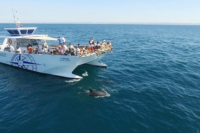 Dolphin Search - Dolphin Quest - Dolphin Search on the Algarve: why this beats DIY spotting