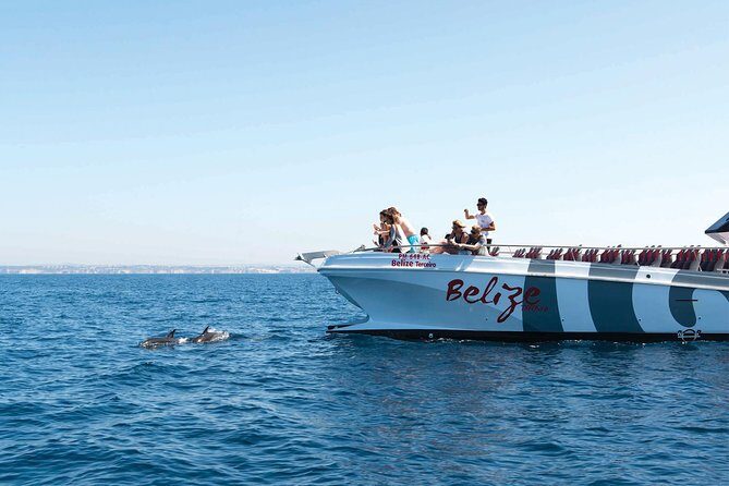 Dolphin Watching and Cave Boat Cruise from Albufeira - Key things I’d watch for on this Albufeira cruise