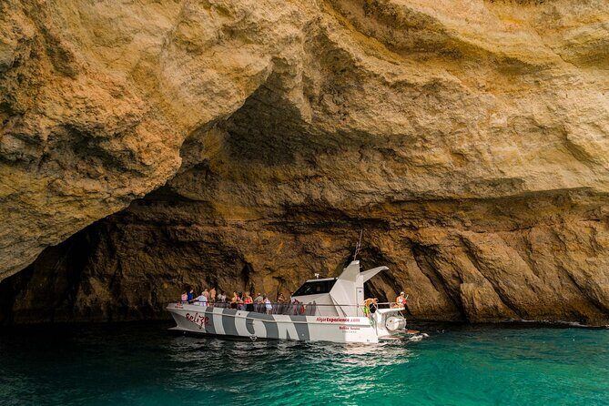 Dolphin Watching and Cave Boat Cruise from Albufeira - The route at a glance: what happens from launch to return