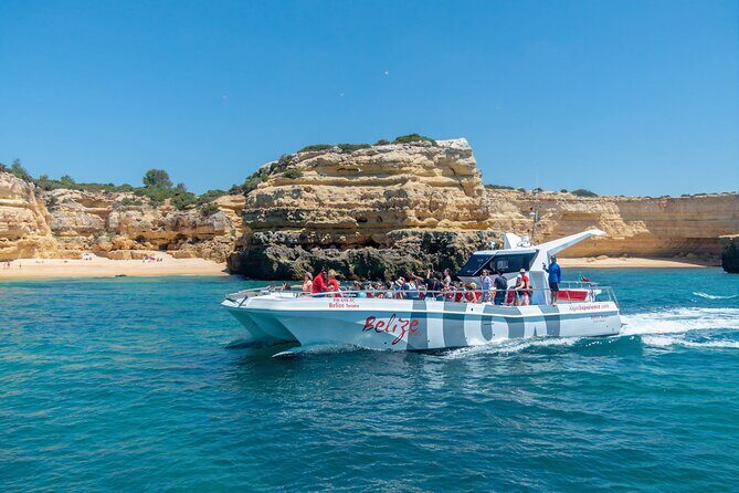 Dolphin Watching and Cave Boat Cruise from Albufeira - What you really get for about $35: value on a 2.5-hour outing