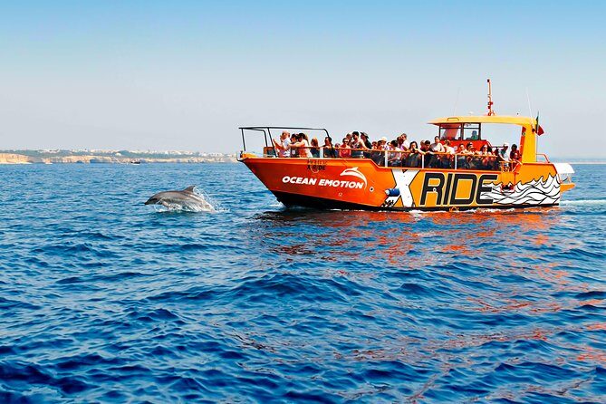 Dolphin Watching and Caves Cruise - Key things to know before you go
