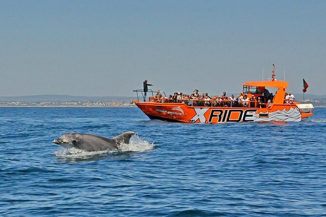 Dolphin Watching and Caves Cruise - Getting to the Start: Albufeira Marina, Cais H