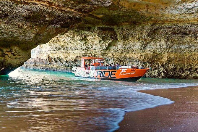 Dolphin Watching and Caves Cruise - Crew, Commentary, and That Friendly-Boatside Energy